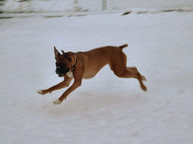 Running In The Snow