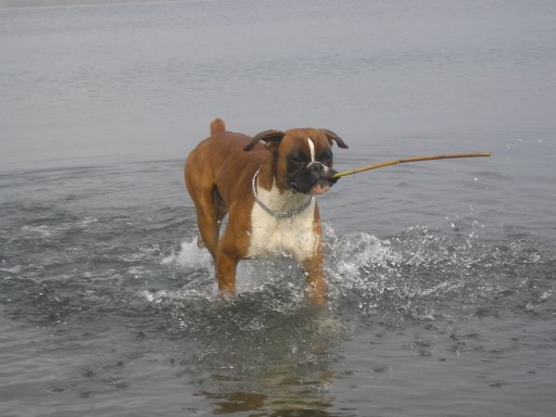 running in the water