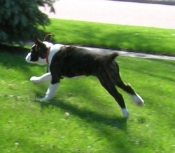 running midair shot