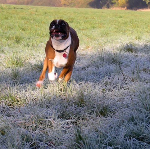Running to get warm