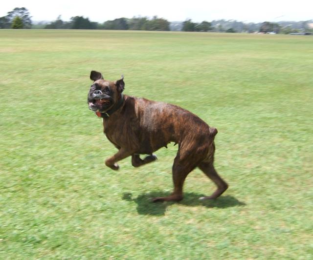 Running with a funny face