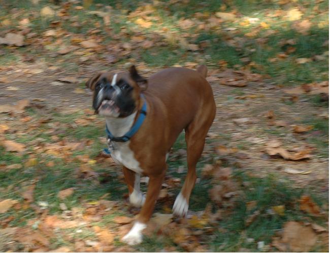 Running