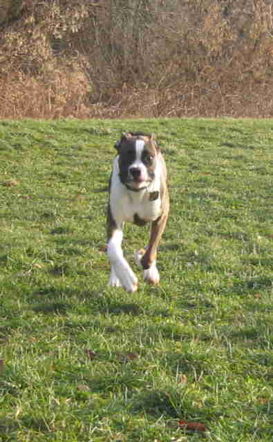 Running