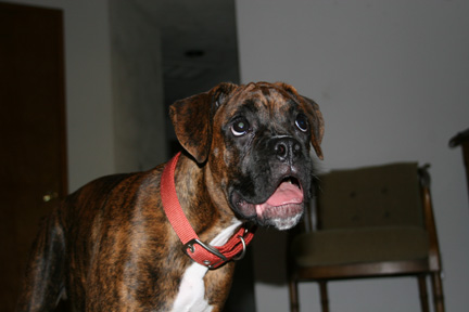 Rupert goofy face