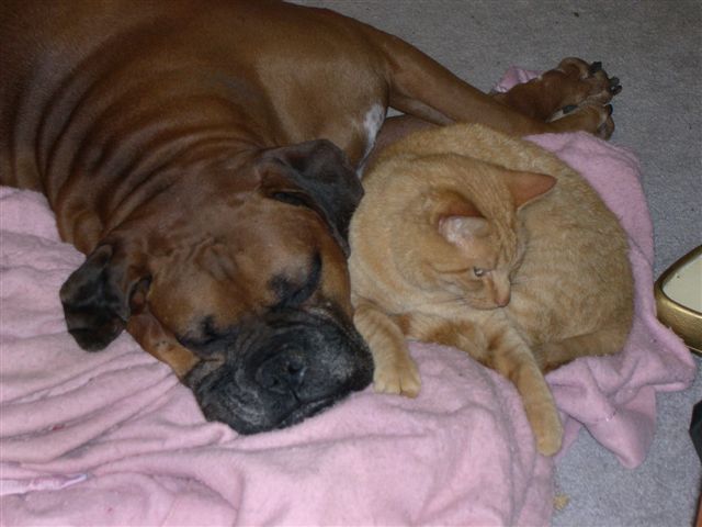 Rusty In Deep Sleep