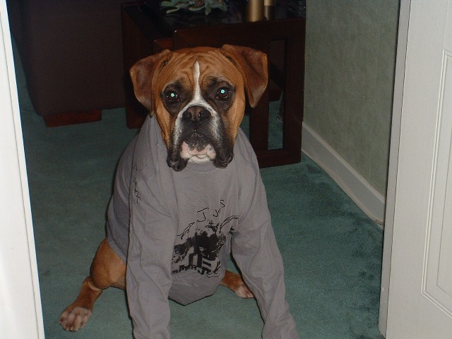Rusty wearing an old t-shirt.