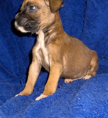 Ry @ 6 weeks