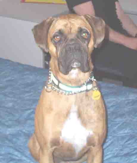 Sable