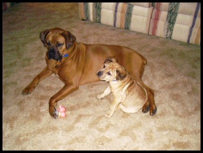 Sabrina and Zowie