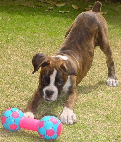 Sabrina en el jardin 01