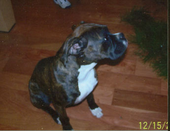 Sabrinas first christmas