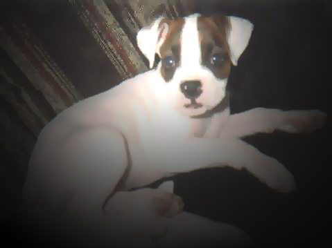 Sacha #3