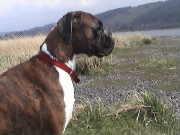 Sacha aged 2 last year