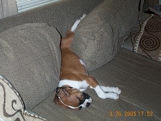 Sack O Couch Potatoes