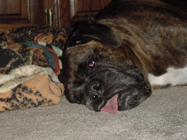 Sacked Out
