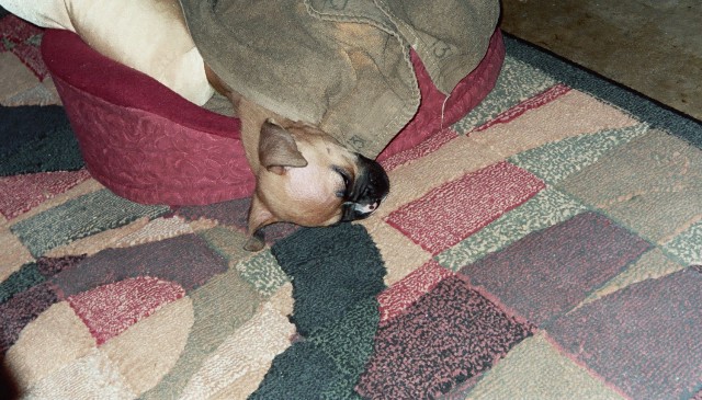 Sacked out!!