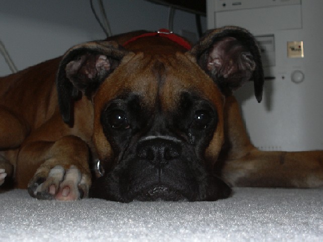 Sad Face