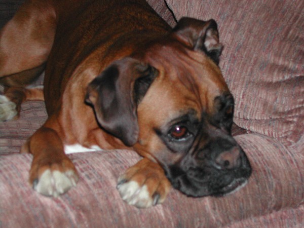 Sad Sack