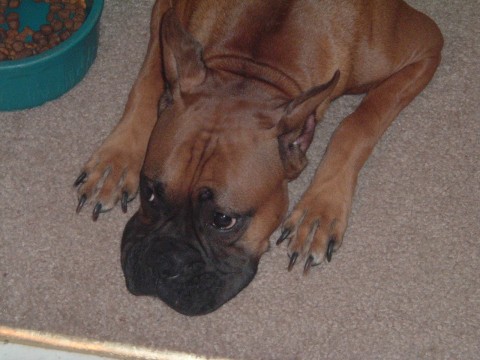 Sad Sophie