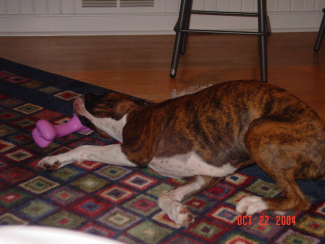 Sadie and her new toy