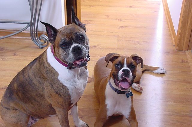 Sadie and Rudy