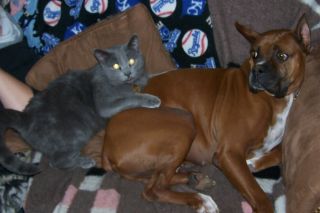 Sadie and Smokey