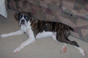 Sadie at 5mths