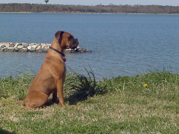 Sadie at the Solomons