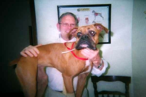 Sadie-Before Surgery