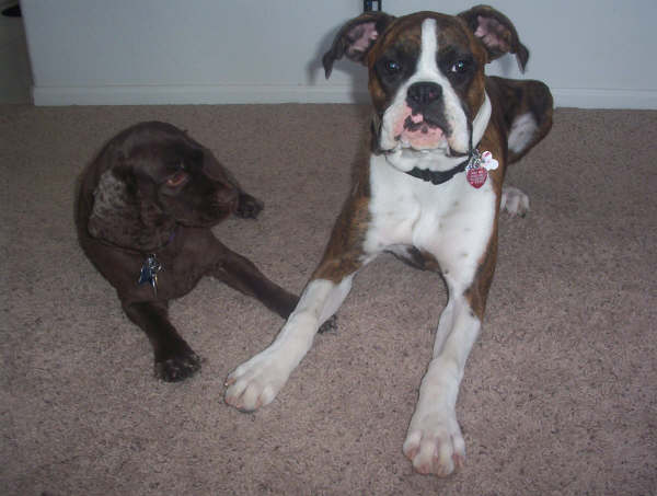 Sadie & Justice 8 months