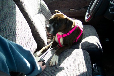 Sadie