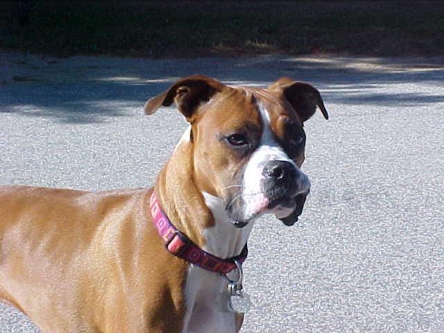 Sadie