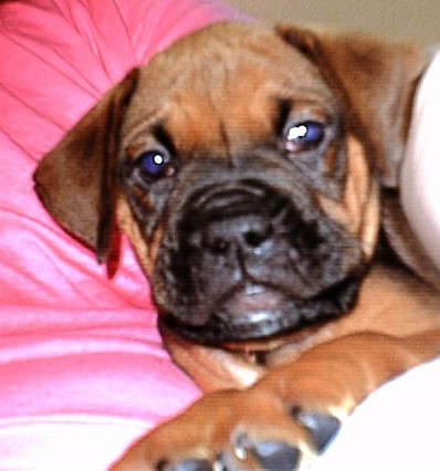 Sadie