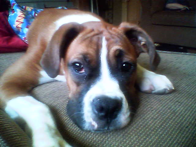 sadie11