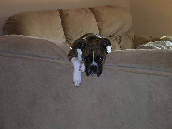 Sadie5