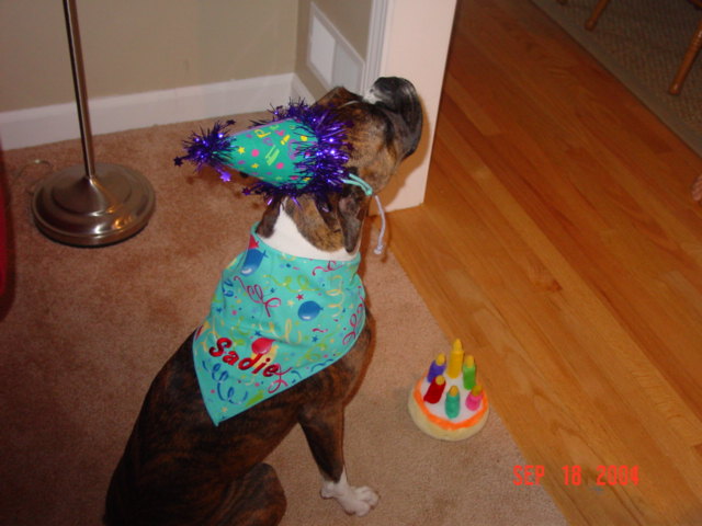 Sadie's 1st Birthday!