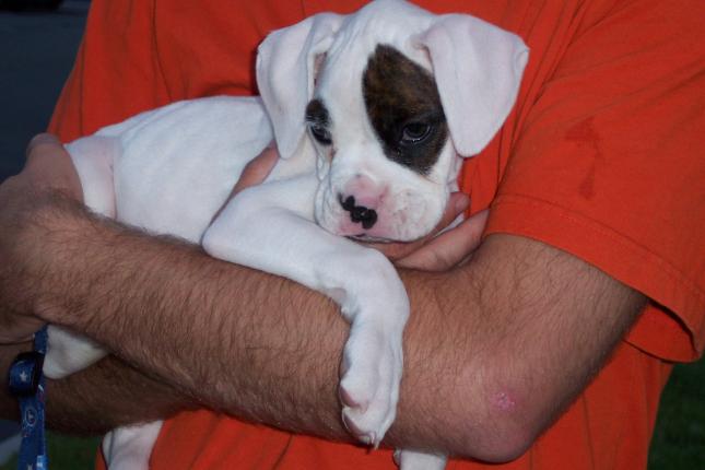 safe_with_dad