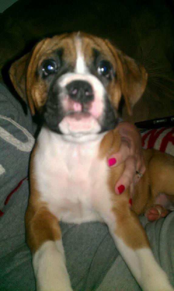 Sage 6.5 weeks