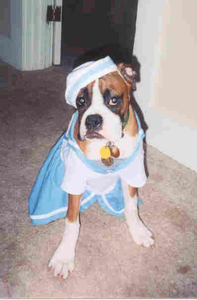 Sailor dress
