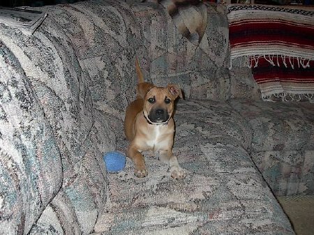 Sally on couch