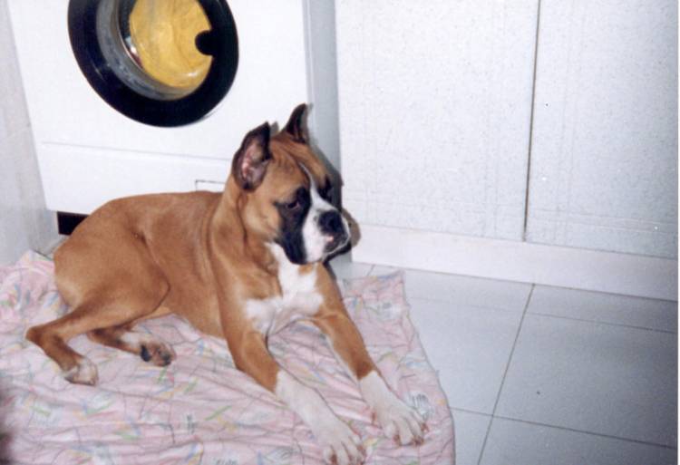 Sally