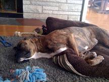 Sally_s_Nap_1-28-09