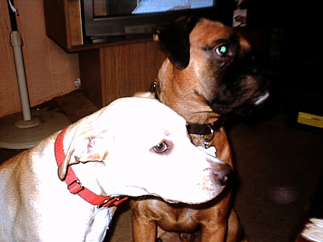 Sam and Layla 2
