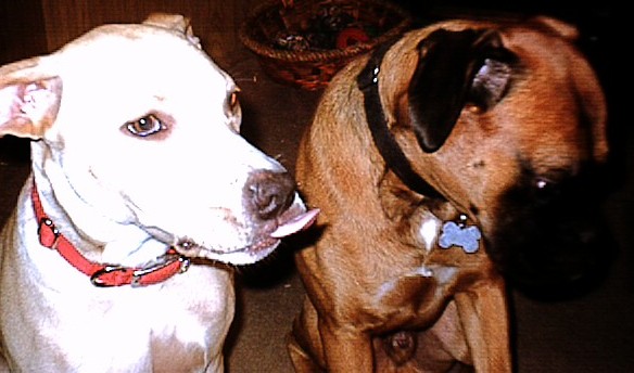 Sam and Layla