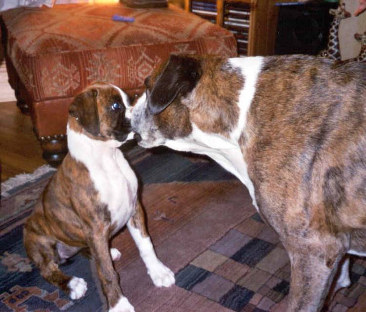 Sam and Skye