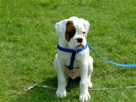 Sam at 12 weeks