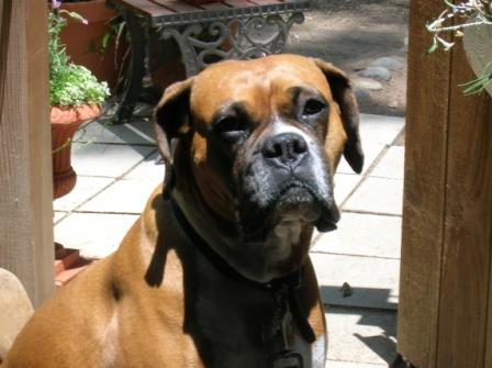 Sam in Sun