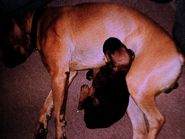 sam n sadie