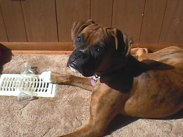 Sam-SideView