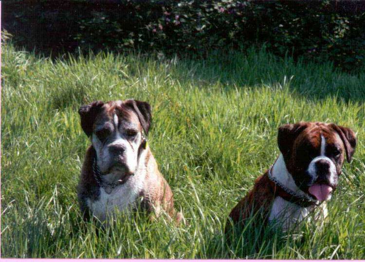 Sam & Skye